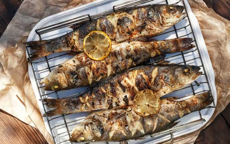 Форель на мангале